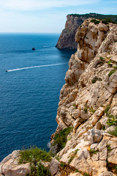 istock Natural Park of Porto Conte 1814078073