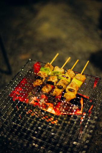 Yakitori (grilled chicken).