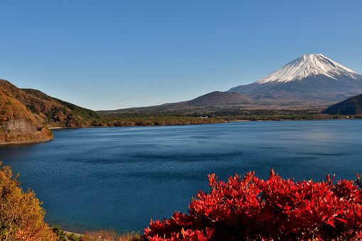 Lake Motosu is famous for its beautiful autumn foliage and Mt Fuji in November. Here are photos taken around Lake Motosu, one of the Fuji Five Lakes. Lake Motosu is a part of Fuji-Hakone-Izu National Park. Mt Fuji is designated as UNESCO World Heritage site.