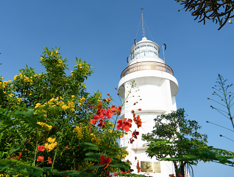 Located at an altitude of 170m, the lighthouse has a round tower shape, 18m high, covered with delicate white paint, standing out against the blue sky. This place is surrounded by beautiful green trees, attracting many tourists to visit. Vung Tau lighthouse is considered the oldest of Vietnam's 79 lighthouses and is a symbol of the coastal city of Vung Tau. France built this location in 1862 to signal and guide ships and boats.