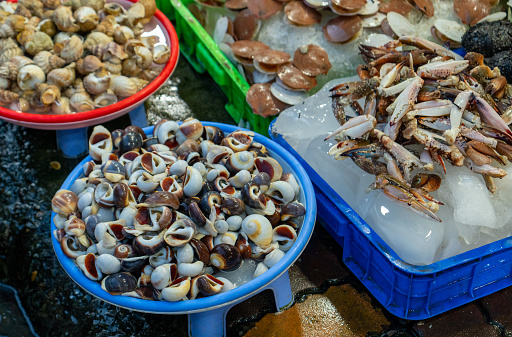 Seafood market, fresh snails caught from the sea, Vung Tau seafood market, Ba Ria Vung Tau province