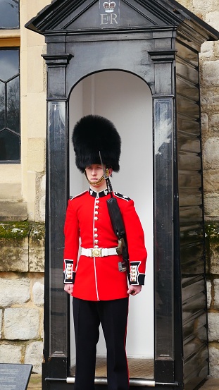A guard stands watch at Buckingham Palace in London, England