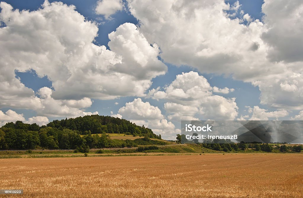 La chaude journée d'été - Photo de Agriculture libre de droits