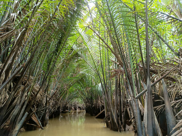 istock Vietnam, Mekong River, river inside the island 1814136334