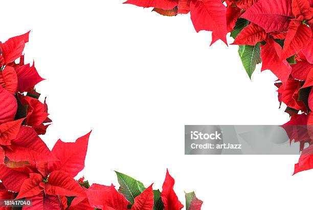 Fiore Di Natale - Fotografie stock e altre immagini di Arredamento - Arredamento, Bianco, Colore verde