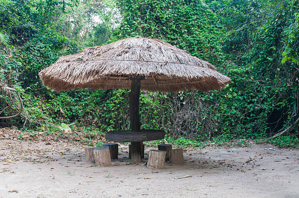 istock Gazebo throng straw grass 181418465