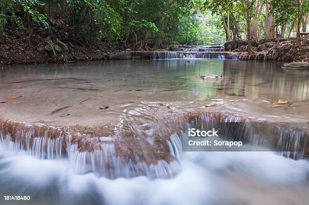 Cataratas De Erawan Em Kanchanaburi Tailândia - Fotografias de stock e mais imagens de Animal selvagem - Animal selvagem, Ao Ar Livre, Arbusto