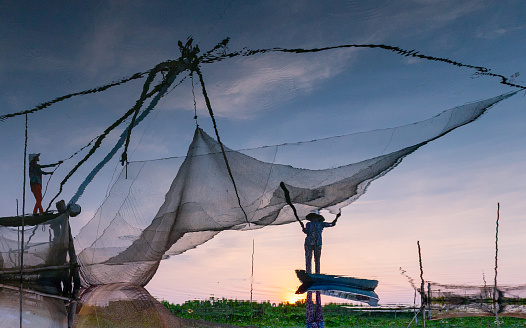 Pulling a net to catch fish in the floating season, An Giang province, a livelihood for farmers in the Mekong Delta