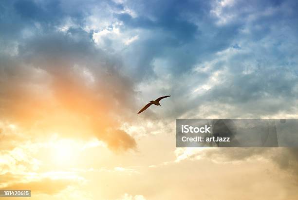 Pássaro E Dramáticas Nuvens - Fotografias de stock e mais imagens de Amarelo - Amarelo, Ao Ar Livre, Azul