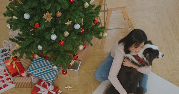 Young asian woman enjoy decorating Christmas tree with cute friend border collie dog at cozy house. Happy girl prepare for celebrating x-mas, New Year winter holidays with lovely puppy pet at home.