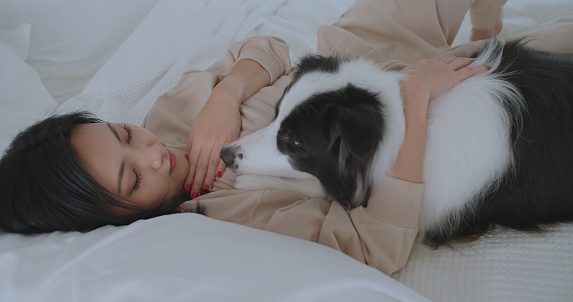 Happy smiling woman is caressing with affection her lovely border collie dog at cozy home. Young asian girl hugging and kissing her pet while lying on bed with love. Human friendship concept with pet.