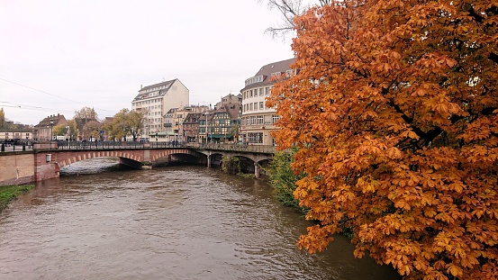 Autumn in Strasbourg.