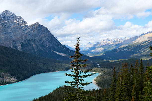 istock Peyto Lake during Autumn in Alberta, Canada 1814283866