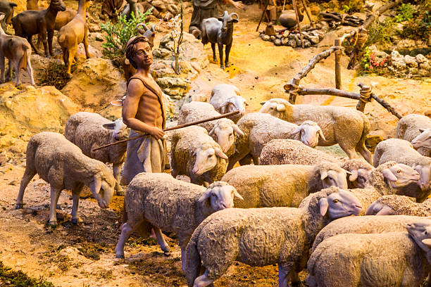 Shepherd with a herd of sheep stock photo