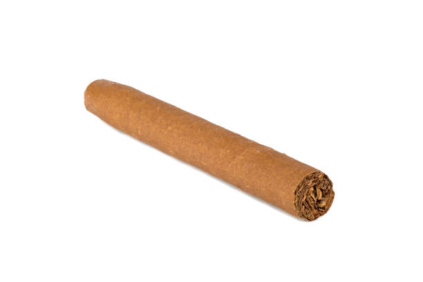 istock One tobacco cigarillo isolated on white background. Macro, close-up high resolution. 1814308291