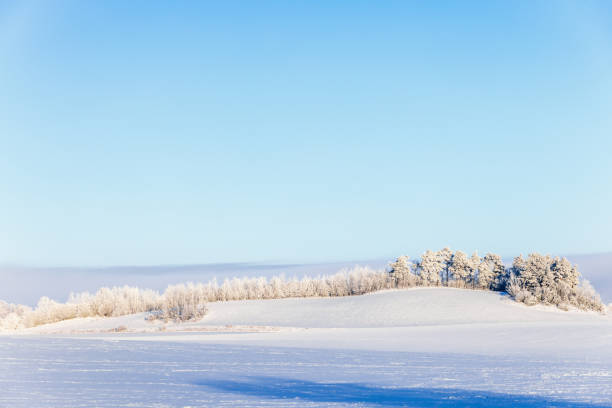 istock Snowy fields in the countryside with frosty trees on a hill 1814331706