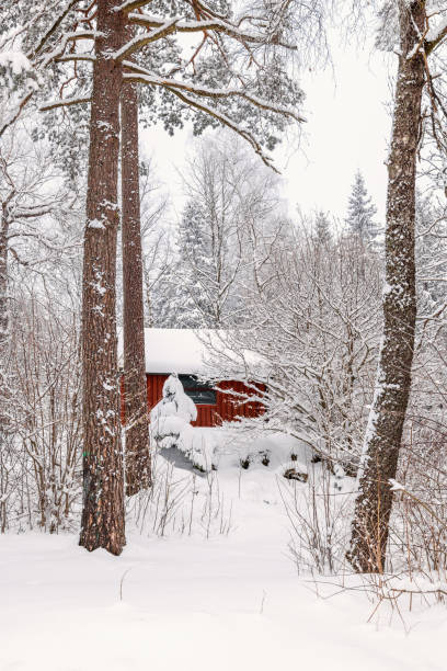 istock Winter landscape with a red cottage in the forest 1814332230