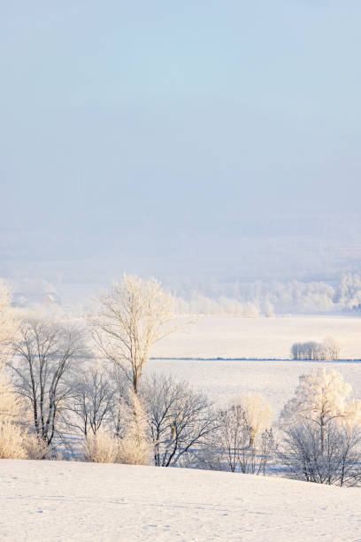 istock View at the countryside a cold winter day 1814333477