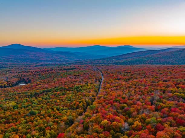 istock landscape of autumn mountain forest and mountain range in mist 1814356798