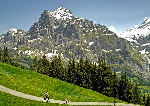 istock hiking in the swiss alps 181435931