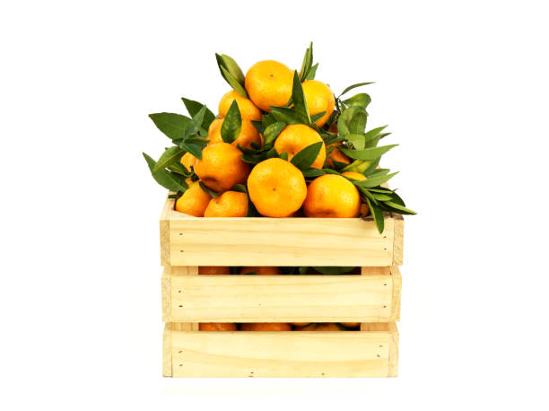 istock Tangerines in wooden crate isolated on white background. 1814376094