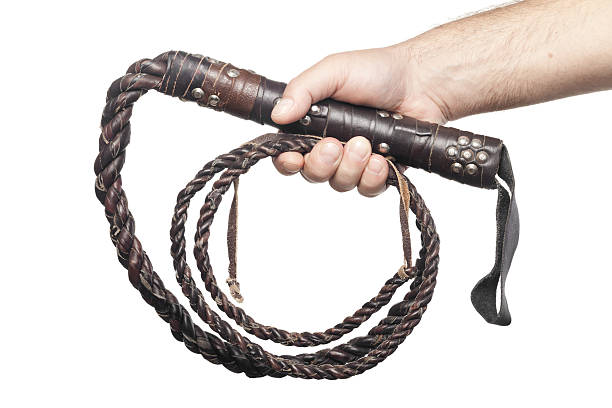 masculino mão a segurar couro marrom chicote isolado em fundo branco - bullwhip imagens e fotografias de stock