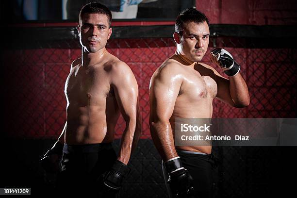 Mixed Martial Arts Fighters Stock Photo - Download Image Now - Combat Sport, 20-29 Years, Adult