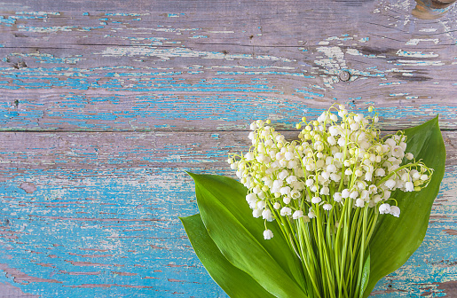 Bouquet of lilies of the valley on the old blue paint wooden background; flat lay, copy space