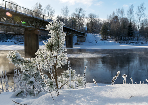 winter landscape, fog on the river, bridge silhouette in the background, beautiful white frost covering trees and grass on the river bank, cold winter day