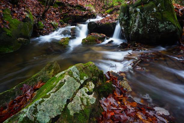 istock Desoto State Park Alabama 1814513427