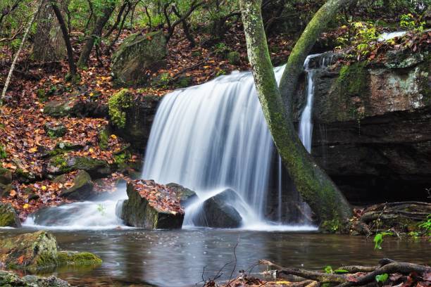 istock Desoto State Park Alabama 1814513428