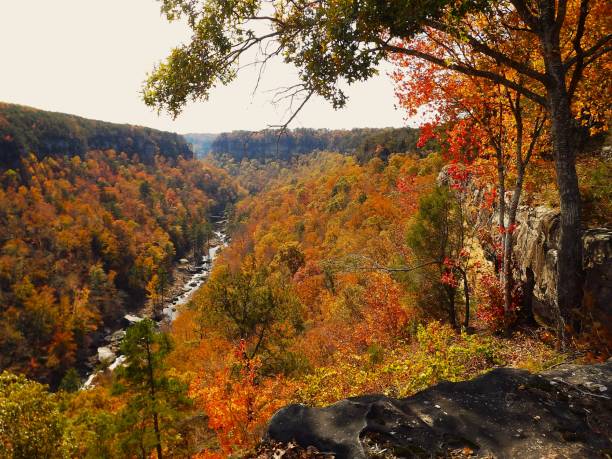 istock Little River Preserve in Alabama 1814513965