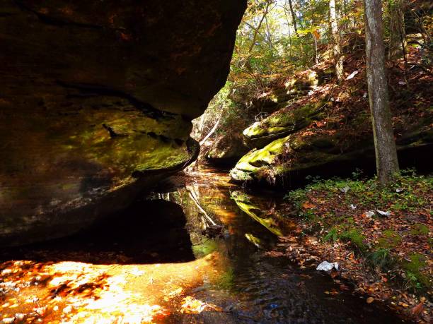 istock Dismals Canyon Franklin County Alabama 1814513972