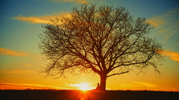 A rustic wooden bench sits in a peaceful field as the sun sets in the distance. The sky is painted with warm hues, creating a serene atmosphere perfect for reflection.