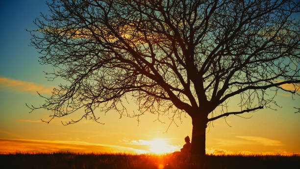 istock Silhouette pregnant woman meditating while sitting under solitude bare tree on field against dramatic sky during sunset 1814516636