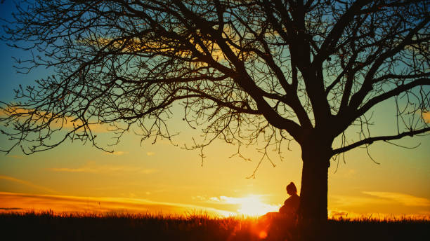 istock Silhouette pregnant woman relaxing under solitude bare tree on field against dramatic sky during sunset 1814519748