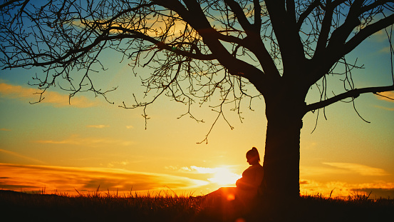 Silhouetted in a side view,a pregnant woman sits beneath a single bare tree with hands on her stomach. Against a dramatic sunset sky,this poignant scene captures the anticipation and serenity of an expectant moment in nature's embrace