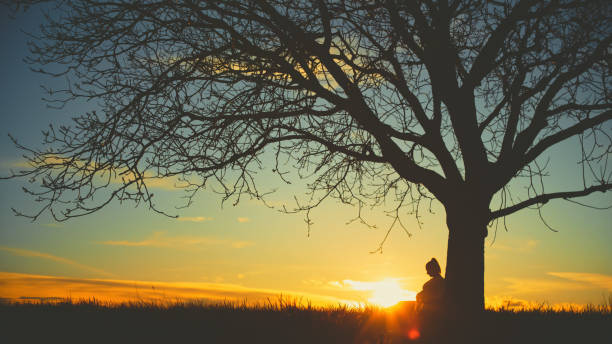istock Silhouette pregnant woman sitting under single bare tree on field against dramatic sky during sunset 1814521298
