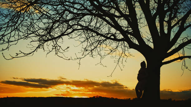 Silhouette pregnant woman with hands on stomach leaning single bare tree against cloudy sky during sunset