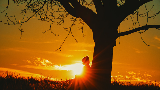 In the tranquil solitude,bright sunlight streams through,casting a glow on a pregnant woman leaning against a bare tree,creating a serene silhouette against the sunset sky
