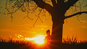 Bright sunlight streaming through silhouette pregnant woman while leaning on bare tree against sky during sunset