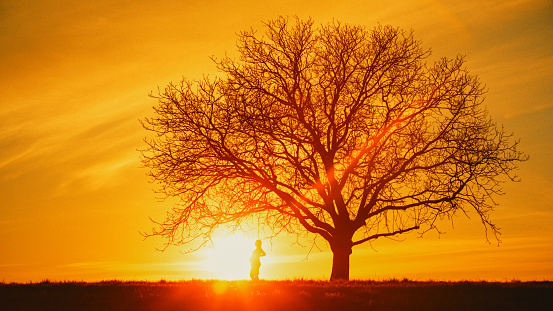 A silhouette of a pregnant woman standing beneath a single bare tree in a field,set against a dramatic sunset sky. A powerful depiction of strength and beauty in the tranquil moments of transition