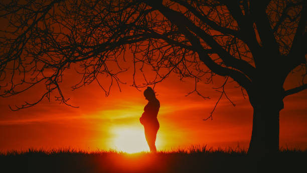 istock Silhouette pregnant woman standing with hands on stomach under single bare tree on field against bright orange sky during sunset 1814546865