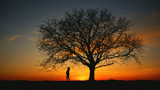 In a striking silhouette,a pregnant woman stands beneath a lone,bare tree on a field,set against the backdrop of a dramatic sky during sunset,symbolizing the quiet strength and beauty of maternity in nature