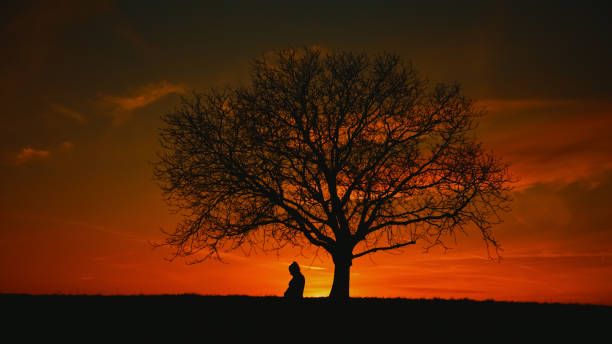 istock Silhouette pregnant woman sitting under single bare tree on field against dramatic orange sky during sunset 1814558338