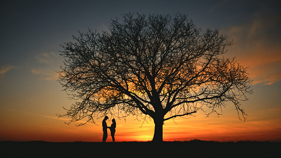 Bathed in the warm glow of an orange sunset,an affectionate silhouette unfolds as an expectant couple stands beneath a bare tree in a tranquil field. A timeless moment of love and anticipation against the canvas of a breathtaking evening sky