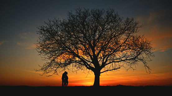 In a poignant silhouette,a loving man embraces a pregnant woman beneath a bare tree,their profiles against a dramatic sky. A powerful image capturing the intertwining of love and the anticipation of new life under the vast canvas of nature's theater
