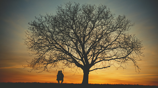 Two silhouette pregnant women stand back to back beneath a vast bare tree in a field,their profiles etched against the sunset sky. A harmonious scene of shared anticipation,celebrating the beauty of motherhood in nature's serene embrace