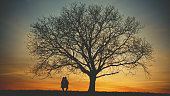 Two silhouette pregnant women standing back to back under huge bare tree on field against sky during sunset
