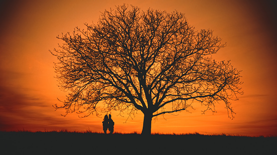 In a silhouette symphony,two pregnant friends stand back to back beneath a grand bare tree in a field,their profiles painted against the warmth of an orange sunset sky. A shared moment of expectancy and friendship